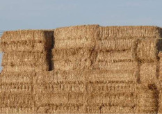 bales of hay