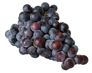 Grapes, Red, Wine, Fruit, Vine, Sweet, Ripe Grapes