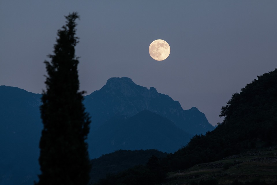 Moon, Cypress, Mountains, Moonrise, Full Moon, Romantic