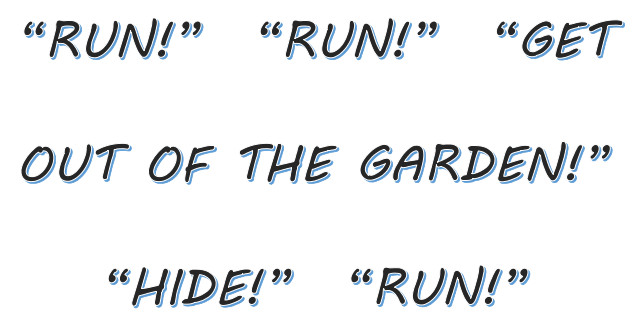 Run! Run! Get out of the garden! Hide! Run!